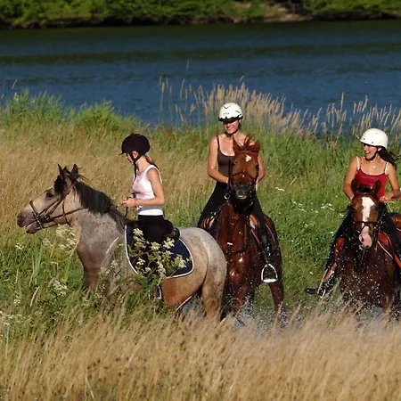 Village de vacances Madame Les De Valjoly Eppe-Sauvage