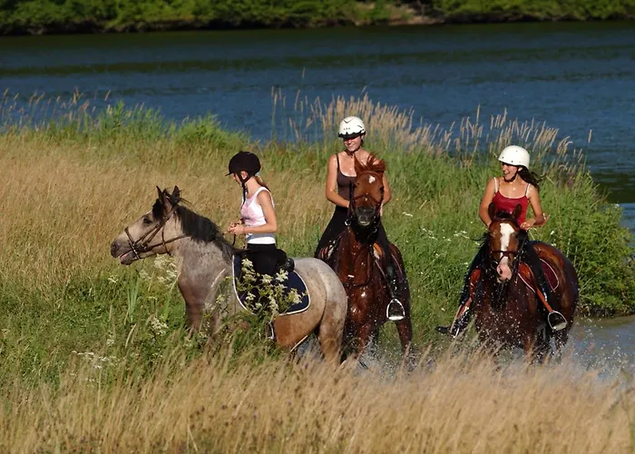 Vakantiepark Madame Les De Valjoly Eppe-Sauvage